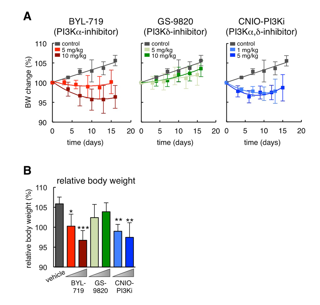 Differential effects of PI3K inhibitors on obesity in ob/ob mice. (A) Body weight change relative to day 0 during daily dosing of the indicated PI3K inhibitors (n=10 per group, ob/ob males, 20 weeks old). The vehicle treated group is the same for the three graphs. (B) Relative body weight change at the end of the treatment (day 15 or 16) of the same experimental groups shown in panel A. Values correspond to average ± s.d. Statistical significance was determined by the two-tailed Student’s t-test relative to vehicle controls: *p p p 