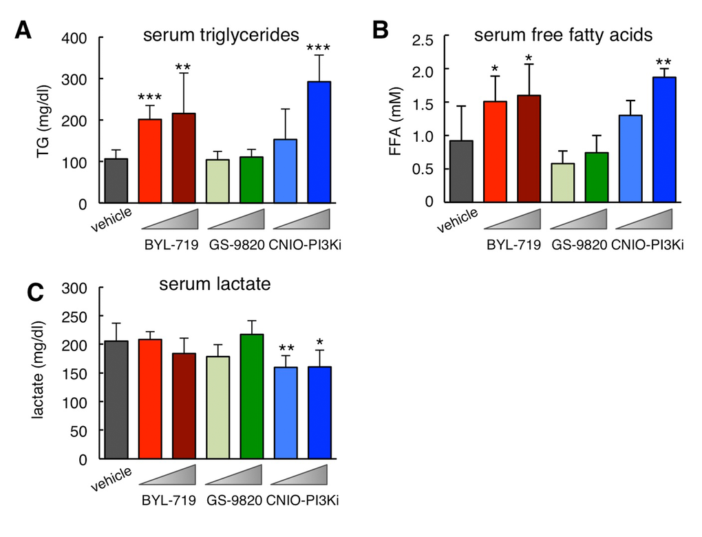 Biochemical serum profile of ob/ob mice after treatment with PI3K inhibitors. (A) Serum triglycerides (TG) in the same mice as in Figure 1A measured 3-4 hours after the last dosing at the end of the treatment (always under ad libitum feeding). (B) Serum free fatty acids (FFA) as in panel A. (C) Serum lactate as in panel A. Values correspond to average ± s.d. Statistical significance was determined by the two-tailed Student’s t-test relative to vehicle controls: * pp p 