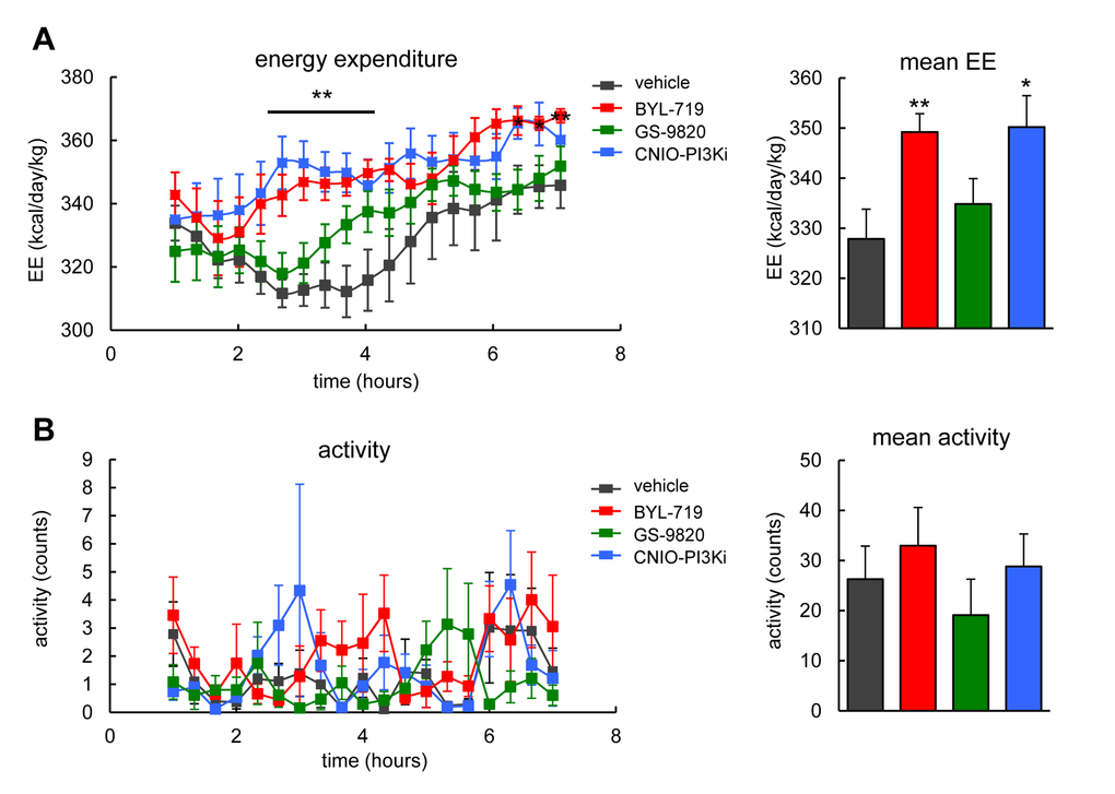 Energy expenditure and activity of wild-type mice after treatment with PI3K inhibitors. (A) Left, energy expenditure (EE). Right, mean EE. Calorimetry of male WT mice, under ad libitum feeding, after a single oral dose of 15 mg/kg of the indicated PI3K inhibitors (n=7-8 per group, C57BL6 males, 20 weeks old). The line and asterisks indicate that CNIO-PI3Ki and BYL-719 are significantly different relative to vehicle at these time points. (B) Left, activity. Right, mean activity. Activity was measured in the same mice as in panel A. Values correspond to average ± s.e.m. Statistical significance was determined by the two-tailed Student’s t-test relative to vehicle controls: * p p 