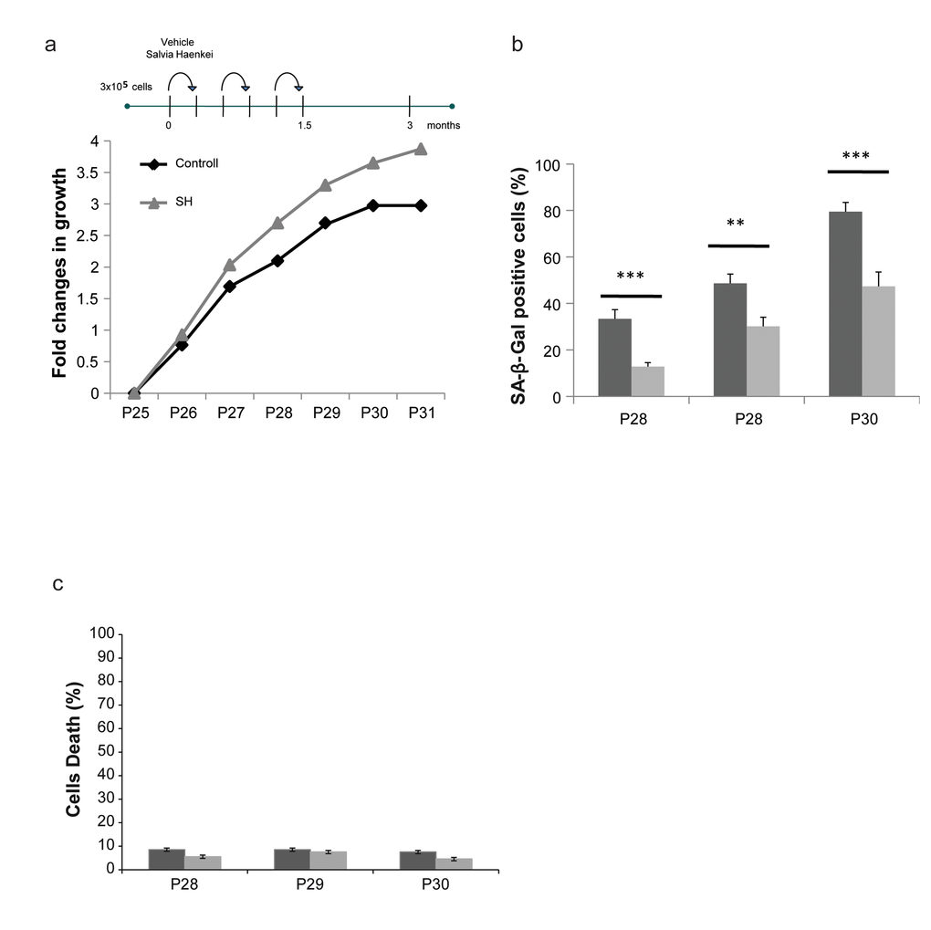 Effect of S. haenkei treatment on replicative senescence in human fibroblasts. (a) Growth curve of human WI38 fibroblasts treated with S. haenkei extract. WI-CCL75 human fibroblasts were plated 300.000 cells per 10cm dish, and subsequently passed and replated in the same number every 3 days for total of 24 passages up to the point when treatment with S. haenkei was initiated. At passage 25, cells were plated at the same number 300.000 cells per plate, and treated with 10µg/ml SH extract. Every 3 days cell number was determined by Trypan blue staining and cells replated 300.000 per plate and re-treated. Results are expressed as fold change in cell number from one representative experiment out of 4 independent experiments. (b) Senescence of human WI38 fibroblasts treated with S. haenkei extract. The graph represents percentage of β-galactosidase positive cells revealed in culture at each passage. Quantifications were done on 4 images (roughly 500 cells) per experiment by determining the ratio of perinuclear blue–positive to perinuclear blue–negative cells. Results are expressed as mean values (+SEM) of cell count in four independent experiments. (c) Cell death in culture of human WI38 fibroblasts upon treatment with S. haenkei extract. The graph represents percentage of Trypan blue positive (dead) cells revealed in culture at each passage. Quantifications were done on one experimental image (roughly 100 cells) in one representative experiment.