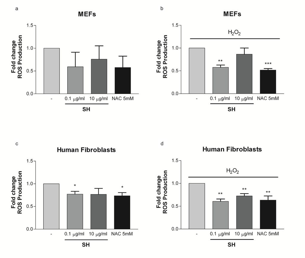 Effect of S. haenkei treatment on ROS production on MEFs and human fibroblasts. ROS generation were measured after 3 hours of incubation in untreated cells and after H2O2 exposure. Treatment with NAC was used as positive control. Data are expressed as mean ± SEM percentage of basal (100%) DCF fluorescence intensity (FI) of three independent experiments. **pvs untreated. (a) ROS production in unstressed MEFs; (b) ROS production in MEFs after exposure to H2O2; (c) ROS production in unstressed human fibroblasts; (d) ROS production in human fibroblasts after exposure to H2O2.