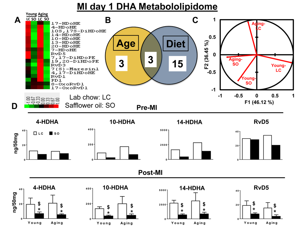 Excess omega-6 fatty acids dysregulate DHA metabololipidomics profile post-MI. (A) Hierarchal cluster analysis of change in DHA metabolites in young and aging, with and without SO diet. Color code bar representing change in expression from green (-1 lowest decrease) to red (+1 highest increase). (B) Venn diagram representing the number of DHA metabolites affected due to age (young and aging) and SO diet post-MI. (C) PCA analysis of DHA metabolites with respect to age and diet post-MI. (D) Bar graph representing change in DHA metabolite production at pre-MI (No-MI controls) and d1 post-MI.