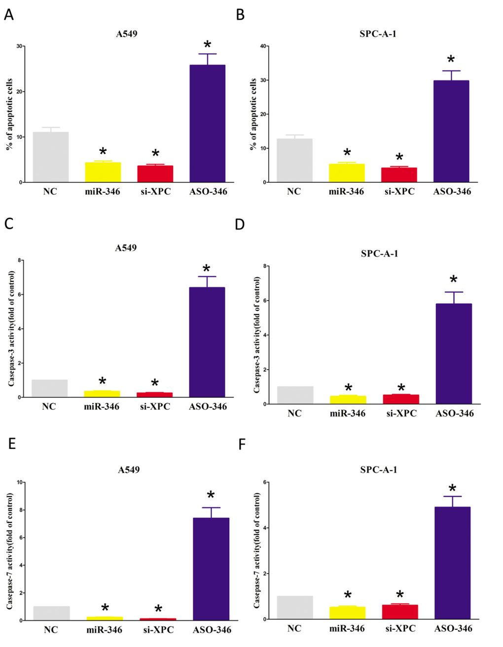 Ectopic expression of miR-346 suppresses apoptosis in A549 and SPC-A-1 cells. (A-B) Shown are statistical analysis of flow cytometric analysis. (C-E) Quantitative representation of caspase-3 and caspase-7 activity in A549 and SPC-A-1 cells transfected with NC, miR-346, si-XPC and ASO-346 for forty eight hours. Assays were performed in triplicate. *P 