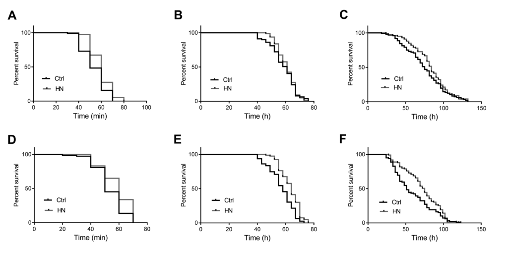 Enhanced heat and oxidative stress tolerance by prenatal HN exposure in both sex. HN exposure led to significantly increased resistance to heat stress in male (A) p =0.0001; female flies (D) p =0.021 and oxidative stress (C) male, p =0.031; (F) female, p =0.0004. HN exposure affected starvation resistance in female (B) p E) p =0.2004). HN-treated flies presented a significant increased (black: controls; grey: HN exposure).