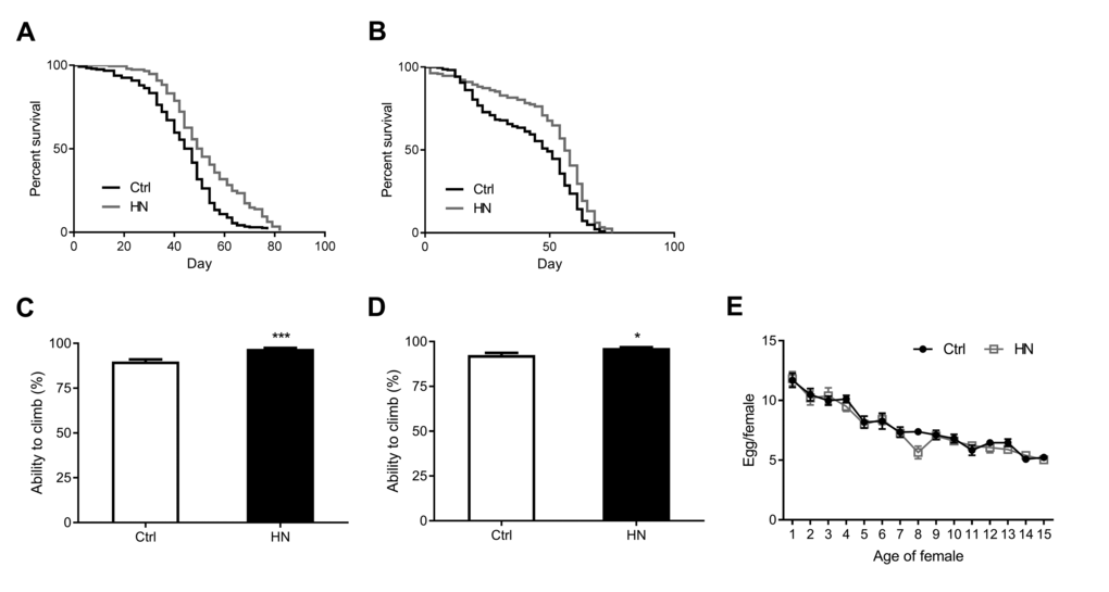 Increased healthspan in HN-treated flies. HN exposure led to increased mean lifespan by 12% in males (A) p B) p C) male, p =0.0007; (D) female, p = 0.028. (E) HN exposure did not affect the fecundity while there was decreased fertility at day 8 (p =0.009). Error bars denote SEM. Values with different superscripts are significantly different at p p p p 