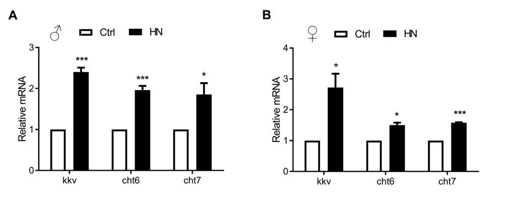 Quantitative real-time PCR validation of HN-treated healthspan genes acquired from microarray analysis. Long-lived HN exposure flies increased the expression of 3 genes from the most up-regulated genes among GO terms. Error bars denote SEM. Values with different superscripts are significantly different at p p p p 