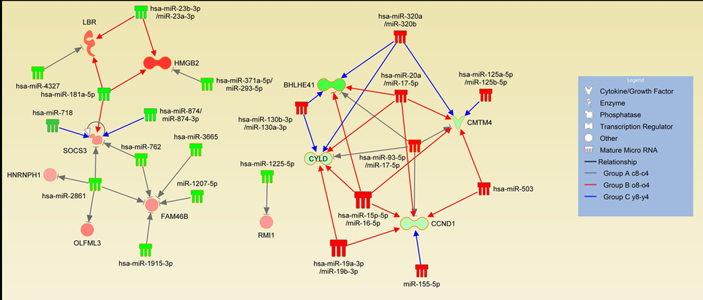 Expansion-induced miRNA-mRNA interactions. Interactions of adverse expression changes are shown in the figure. Green color of the miRNA or mRNA represents up-regulation and red color represents down-regulation. Gray arrows indicate interactions in the group A c-8-c4 whereas red color represents the old donors group (Group B o8-o4) and the blue color represents the young donors group (Group C y8-y4). See also Table S3.