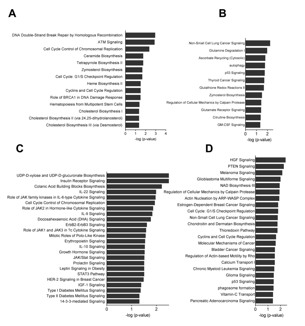 Pathway analyses of miRNA mRNA interactions. Canonical pathways were analyzed through the use of QIAGEN’s Ingenuity Pathway Analysis. (A) Group B o8-o4 down-regulated target mRNAs for up-regulated miRNAs (B) Group B o8-o4 up-regulated target mRNAs for down-regulated miRNAs (C). Group C y8-y4 down-regulated target mRNAs for up-regulated miRNAs (D). Group C y8-y4 up-regulated target mRNAs for up-regulated miRNAs.