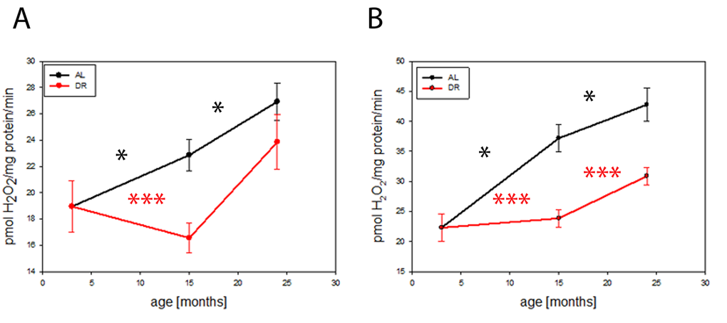 DR delays age-related increase in hydrogen peroxide release from mouse brain mitochondria. (A) Hydrogen peroxide release from isolated mouse brain mitochondria measured using the Amplex red method at 3, 15 and 24 months under AL and DR conditions: Complex I linked substrate, pyruvate/malate (PM, 5mM) in the presence of rotenone (5µM) (maximum capacity). (B) Complex II linked substrate, succinate (4mM). Between 4 (3 months) and 9 (15 months AL) mice per group were used. Data are mean ± S.E.M. Significance for age-related increase was analysed using One way ANOVA compared to 3 months old brains. Differences between AL and DR at each age were compared by t-test. *P