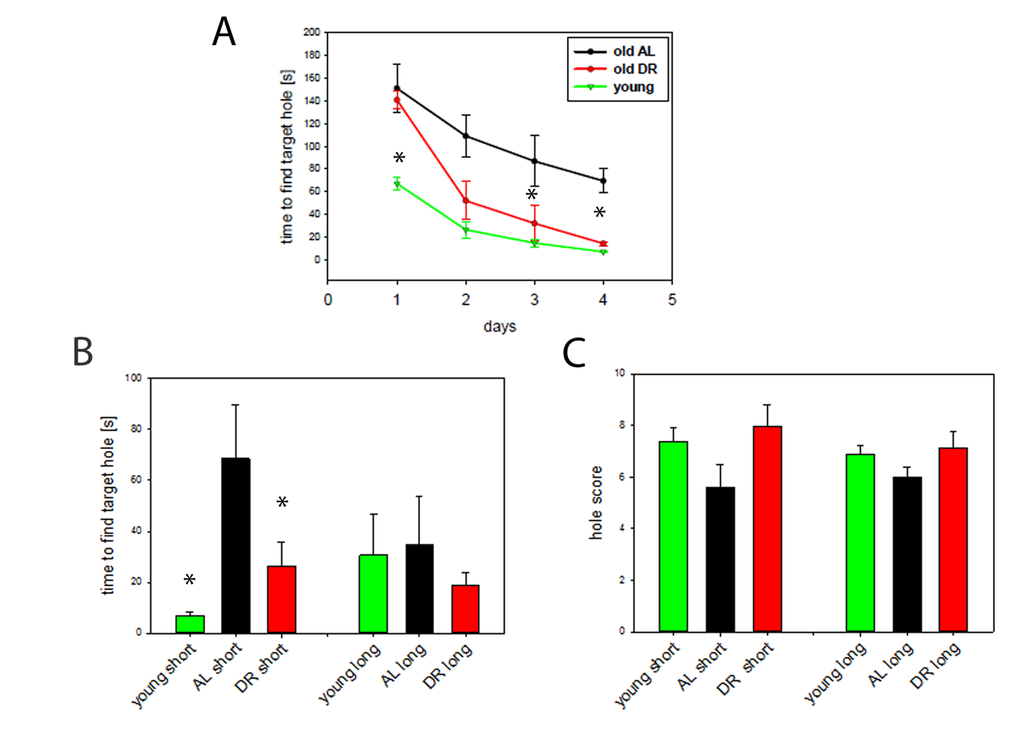 DR improves learning and spatial memory. (A) Learning behaviour measured as time to find the target hole in a Barnes maze during the training period (day 1 to 4). DR (red, n=12, 33 months), AL (black, n=5, 30 months) and young mice (green, n=7, 10 months,). Statistical significance between groups was tested by One way ANOVA for each day separately. (*PB) Short term (short) and long term (long) memory expressed as the time to find the target hole. Young mice n=7, AL, n=5, DR, n=12, One way ANOVA, *pC) Short- and long term memory expressed as hole scores for head poking from the same mice as in A and B.