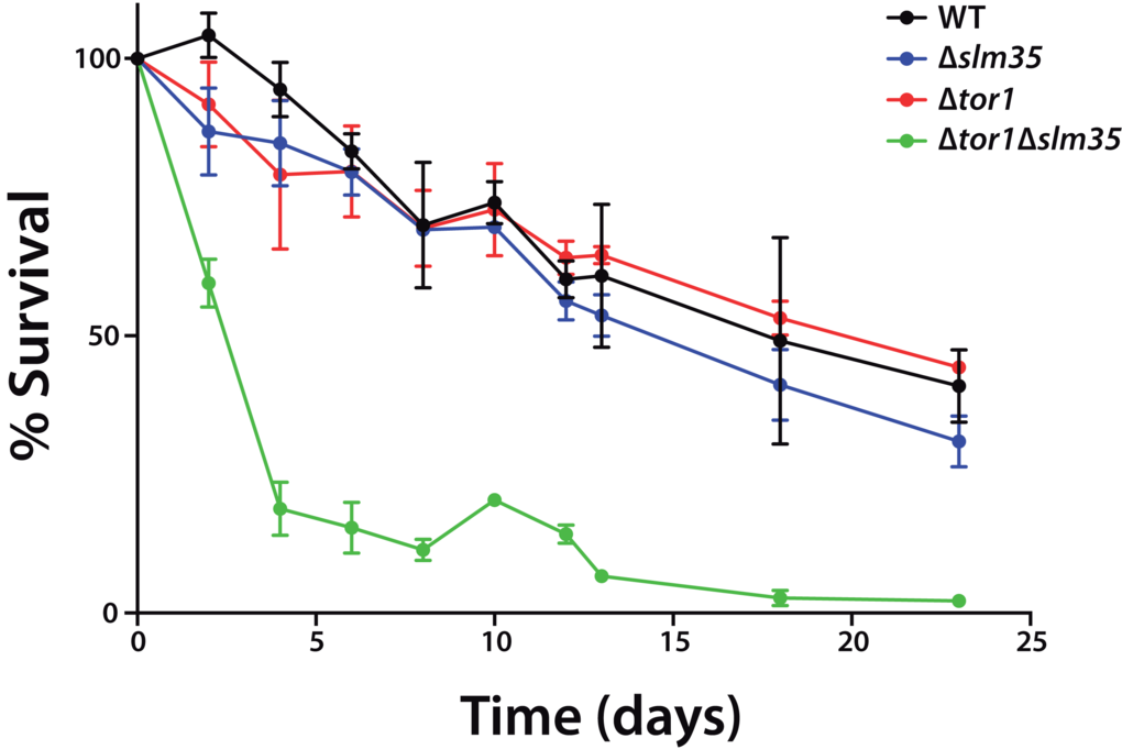 SLM35 and TOR1 show an aggravating genetic interaction during chronological lifespan. Cells from the indicated strains were grown on SDC medium for 3 days until stationary phase. This was set as day 0, and every 2 or 3 days aliquots were taken to monitor growth as a function of time for each age point until the original culture reached 22 days. Each strain was cultured in triplicate and each aliquot was growth in duplicate. Error bars represent standard deviations.