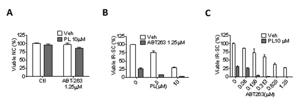 PL synergistically and selectively kills SCs in combination with ABT-263. (A) Quantification of NC viability 72 h after the cells incubation with vehicle, 1.25 µM ABT-263, 10 µM PL, or the combination of ABT-263 and PL (n = 3). (B) Quantification of WI-38 IR-SC viability 72 h after incubation with vehicle, 1.25 µM ABT-263, 5 or 10 µM PL, or the combination of ABT-263 and PL (n = 3-5). (C) Quantification of WI-38 IR-SC viability 72 h after incubation with vehicle, 10 µM PL, 0.08-1.25 µM ABT-263, or the combination of ABT-263 and PL (n = 3-6). Data are represented as the mean ± SEM.