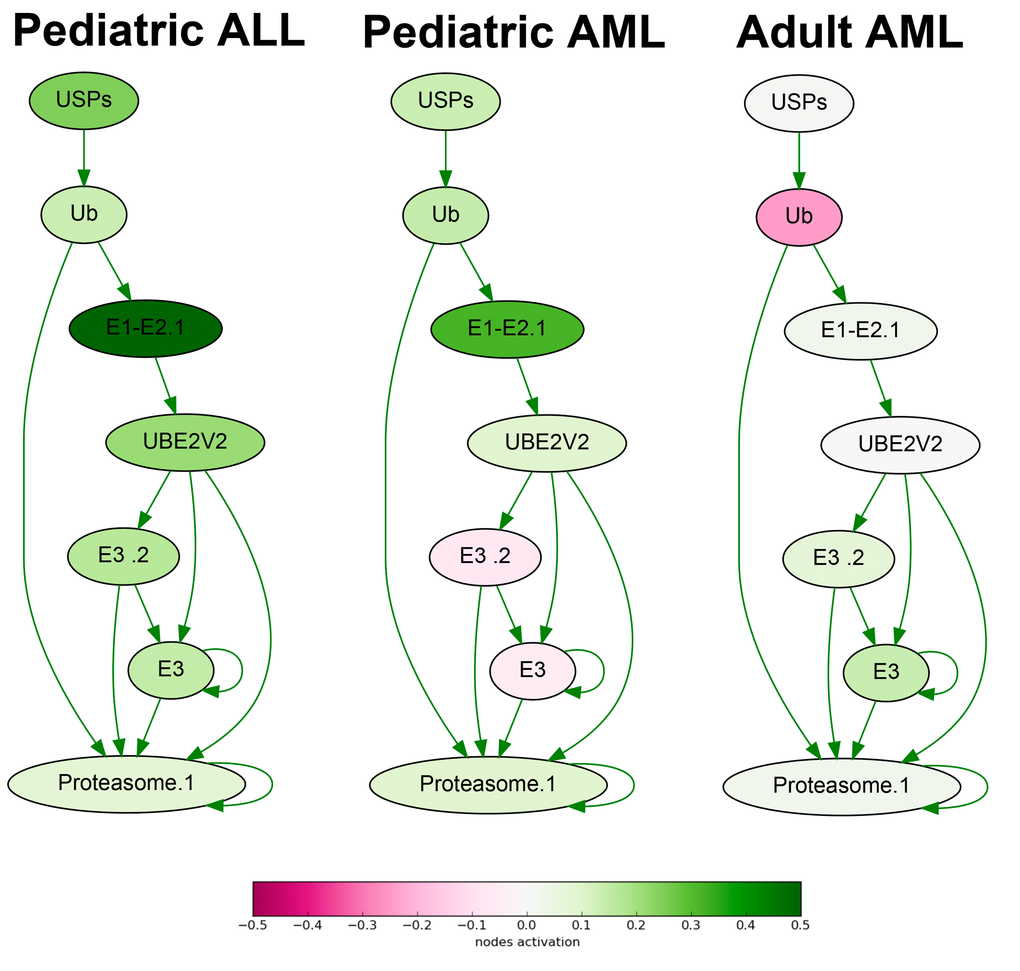 Ubiquitin-dependent proteasome protein degradation pathway shown as an interacting network. Pathway activation features are shown for the averaged pediatric ALL, pediatric AML and adult AML transcriptomes. Up-regulated nodes are shown in green, down-regulated - in purple, color legend is provided at the bottom. Saturation of the color is proportional to logarithm of cancer-to-normal (CNR) expression rate for each node of the pathway.