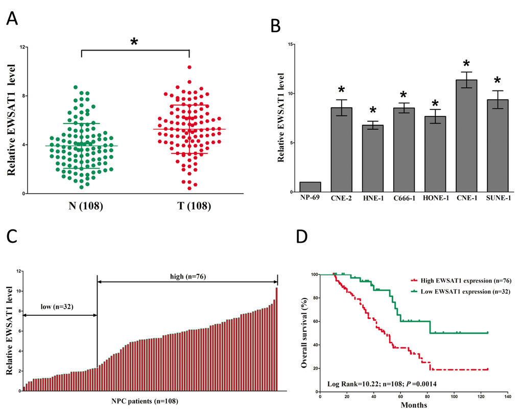 Relative EWSAT1 expression in NPC tissues and cell lines, and its clinical significance. (A) Relative expression of EWSAT1 expression in NPC tissues (n = 108) and in paired adjacent normal tissues (n = 108). N represented Normal adjacent nasopharyngeal tissues, and T represented nasopharyngeal carcinoma tissues. EWSAT1 expression was examined by qPCR and normalized to GAPDH expression. (shown as ΔCT). (B) Relative expression of EWSAT1 expression in NPC cell lines and normal NP epidermal cell. (C) Relative expression of EWSAT1 expression in NPC tissues (n = 108) and in paired adjacent normal tissues (n = 108). EWSAT1 expression was examined by qPCR and normalized to GAPDH expression. (shown as ΔCT). (D) The Kaplan-Meier survival analysis indicated that EWSAT1 high expression (red line, n=76) has a worse overall survival compared to the low expression subgroup (green line, n=32). *P 