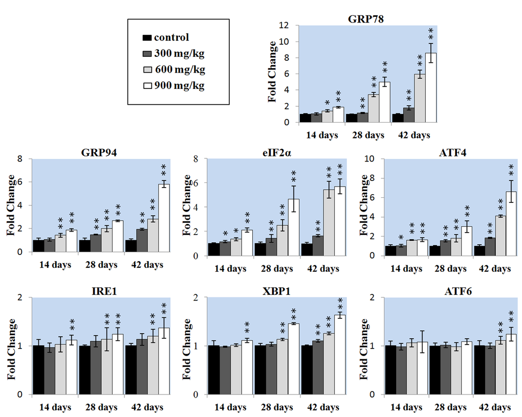 Changes of the ER stress gene mRNA expression levels in the liver. Data are presented with the mean ± standard deviation (n=5). *PP