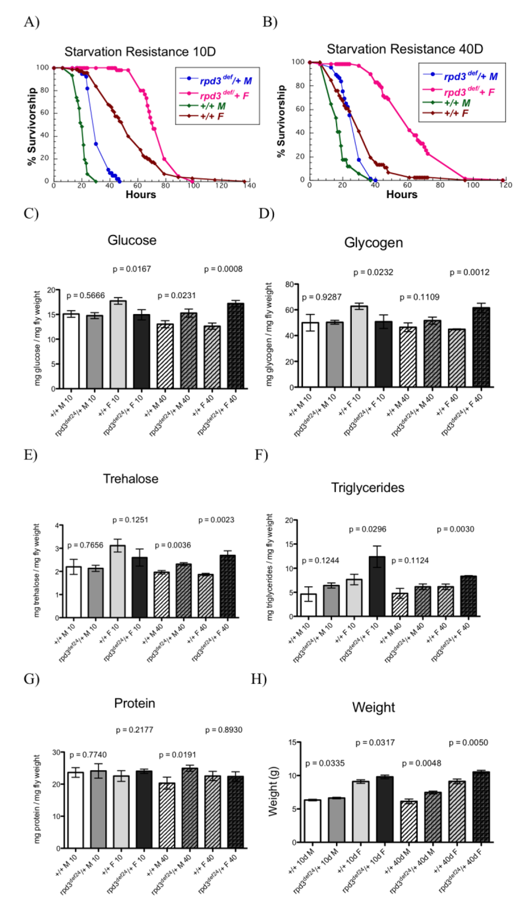 rpd3 reduction affects stress resistance and metabolism. (A,B) Reduced rpd3 levels increase stress resistance. Survival curves for male and female rpd3def/+ and control flies during starvation at age 10 (A) and 40 (B). (C-G) rpd3 reduction affects intermediary metabolism: Total levels of glucose (C), glycogen (D), trehalose (E), triglyceride (F) and protein (G) in rpd3def/+ and control male and female flies at age 10 and 40 days. (H) Weight of rpd3def and control flies used in C-G. Data are presented as means + SD (n=3, 30 flies per replicate. t test).