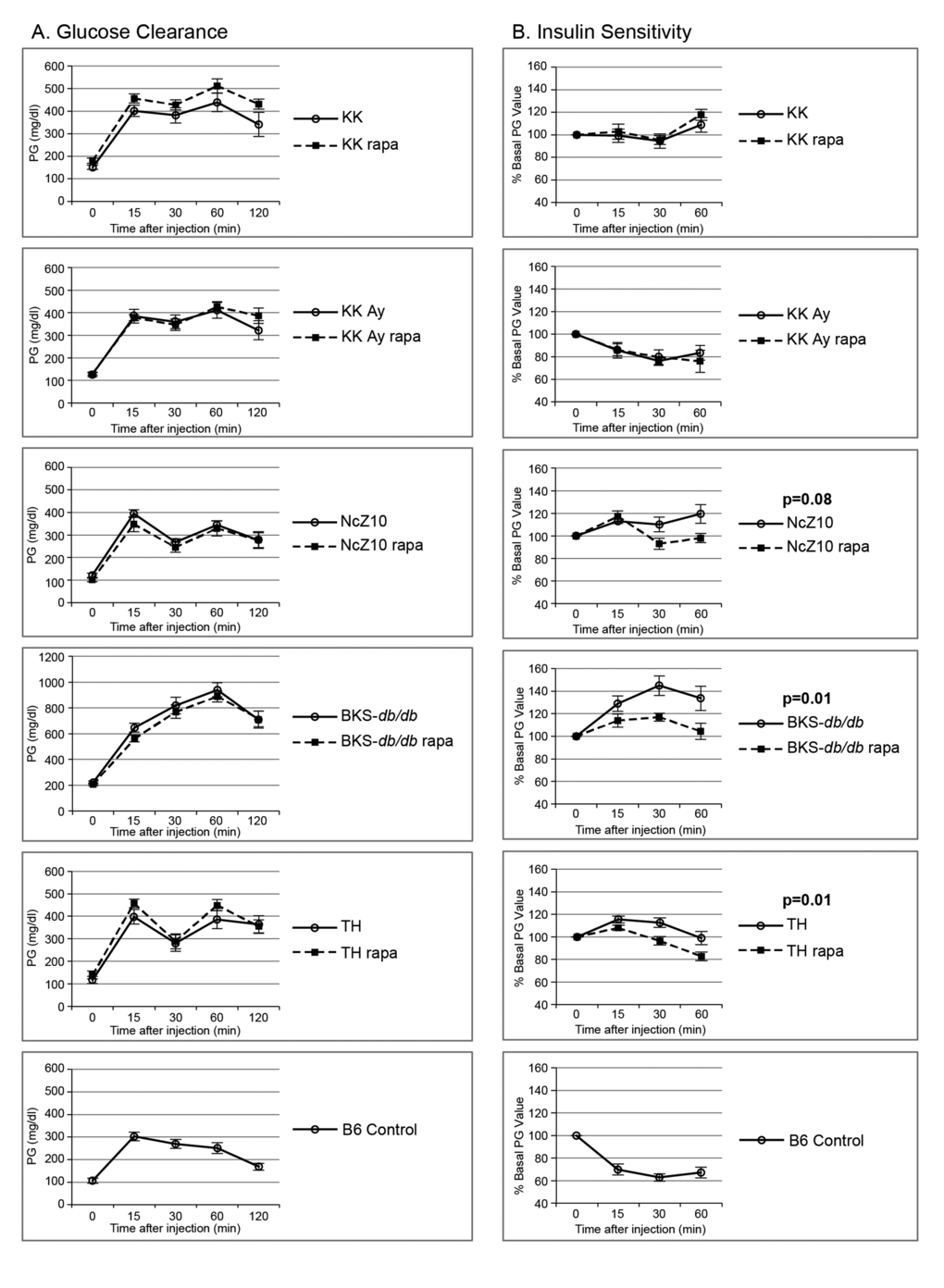 Effect of rapamycin on glucose clearance and insulin sensitivity in 5 diabesity models. (A) Rapamycin does not exacerbate glucose intolerance in 5 glucose intolerant strains. (B) Rapamycin improves insulin sensitivity in the insulin-resistant NcZ10, BKS-db/db, and TH strains. Two or three B6 controls were tested with each strain (cumulative data shown, n = 13–16) to serve as positive controls for the glucose and insulin injections, as quality controls, and for reference values. P values are given for repeated measures MANOVA (n = 5–6 per strain/treatment group except for NcZ10, n = 11).