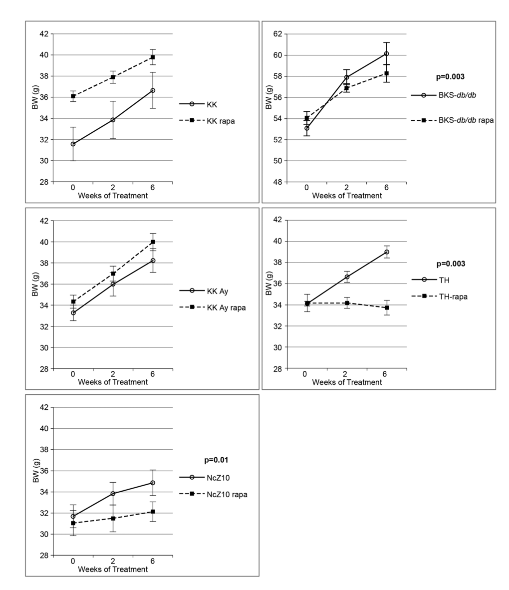 Effect of rapamycin on body weight gain in 5 diabesity models. Rapamycin significantly reduces body weight gain in NcZ10, BKS-db/db, and TH strains, but not in KK-Ay or KK strains. P values are given for repeated measures MANOVA (n = 5–6 per strain/treatment group, except n = 11 for both NcZ10 groups). Note that the Y-axis scale for BKS-db/db is over a different 14-g span than the other 4 strains.