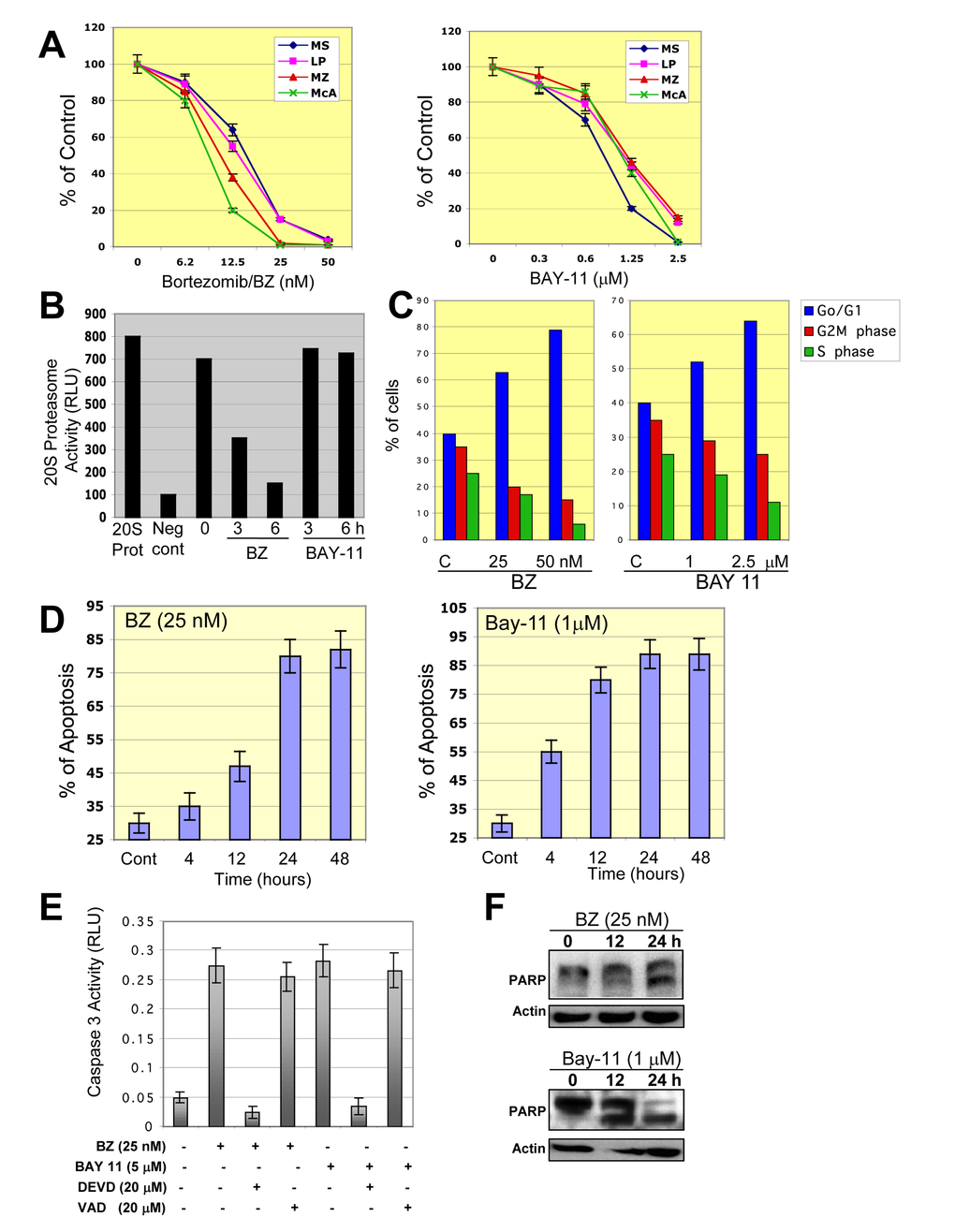 Inhibition of NF-κB in DLBCL cells leads to cell growth inhibition, G0/G1 cell cycle arrest, and apoptosis. (A) Representative ABC- and GCB-DLBCL cell lines were treated with bortezomib (BZ) or BAY-11 for 48 hours and cell proliferation was measured using 3H-thymidine incorporation assays. The percentages of growth inhibition of treated cells relative to untreated (control cells) were plotted. The data shown are the means and ranges of triplicate cultures from three independent experiments. (B) DLBCL-MS cells were cultured in the absence or presence of bortezomib (BZ) or BAY-11 and subjected to a 20S proteasome assay. Purified 20S proteasome was used as a positive control. Abbreviations: RLU, relative light unit; 20S pro, 20S proteasome, Neg Cont., negative control. (C) DLBCL-MS cells were cultured in the absence or presence of BZ (50 nM) or BAY-11 (1 µM) and analyzed for cell cycle profile. The percentages of cells in G0/G1, S, and G2M phases are shown. (D) DLBCL-MS cells were cultured in the absence or presence of BZ (50 nM) or BAY-11 (1 µM) for the indicated time points and then analyzed for apoptosis using annexin V assays. (E) DLBCL-MS cells were cultured in the presence of BZ (50 nM) or BAY-11 (1 µM) and in some cases with the caspase 3 inhibitor DEVD or the caspse 1 inhibitor VAD. Caspase 3 activity was measured after 24 hours of treatments. Caspase 3 activity was observed after 12 hours of treatment. Abbreviations: RLU, relative light units. (F) DLBCL-MS cells were cultured in the presence of BZ (50 nM) or BAY-11 (1 µM) for the indicated time points and cell extracts were subjected to Western blotting for a known caspase substrate, poly-(ADP-ribose) polymerase (PARP) cleavage.