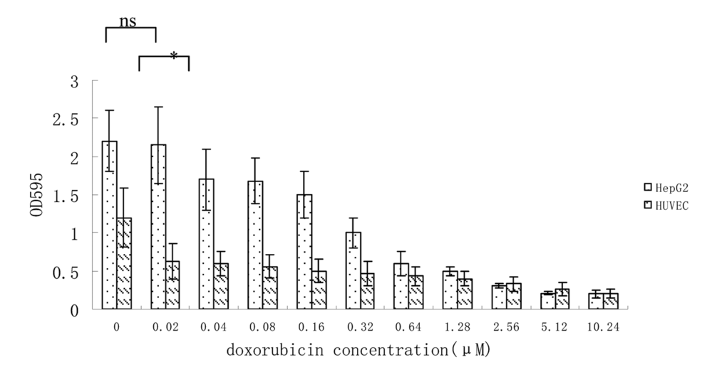 Growth inhibition of HUVEC and HepG2 cells at different concentration of doxorubicin. Data from 3 independent experiments are shown. *p 