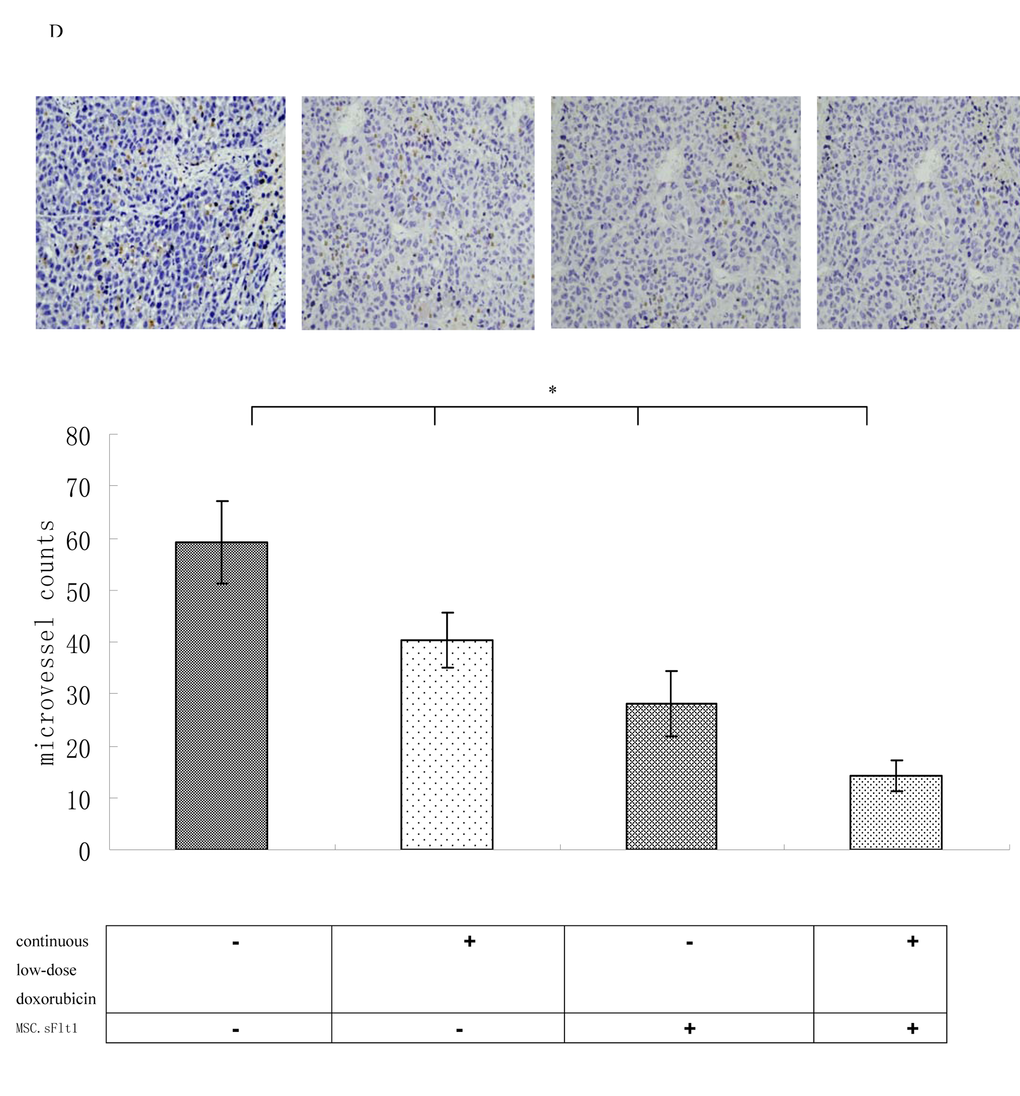 Immunohistochemical analysis for MVD in HepG2 xenografts and combination therapy enhanced the inhibition of tumor angiogenesis in vivo. Magnification, 200×. *p 