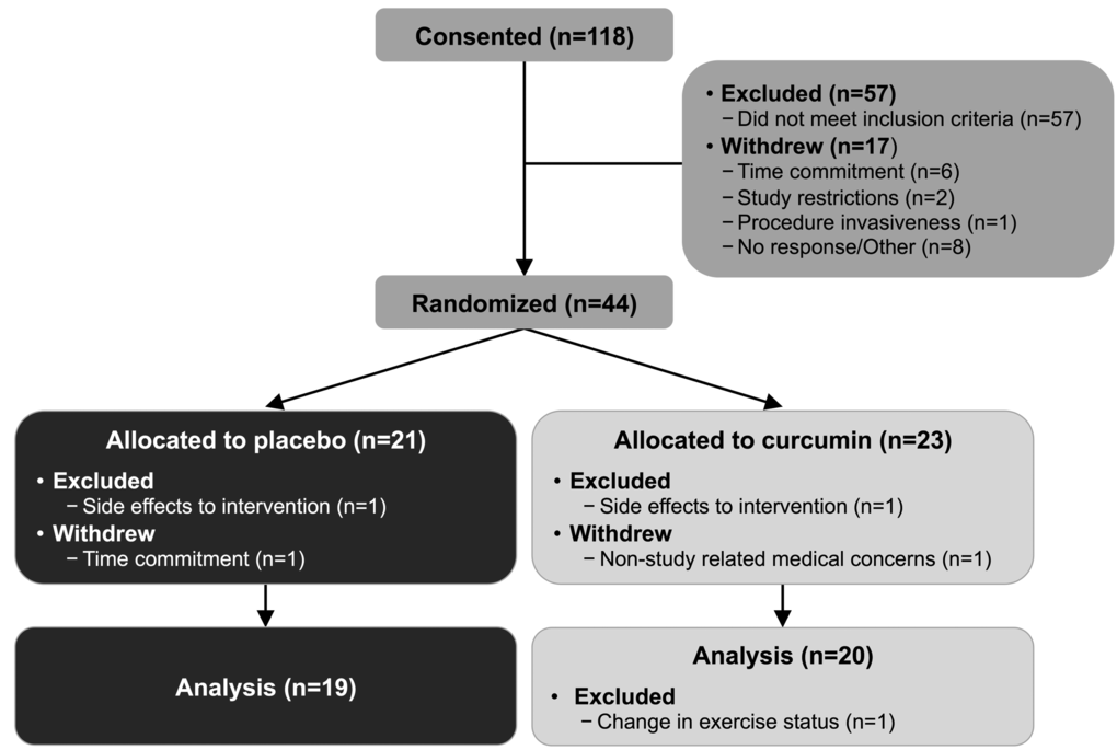 Participant progress through study.