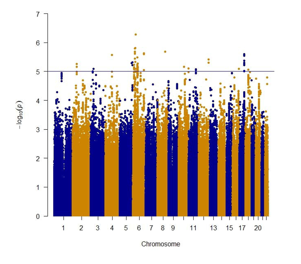 Manhattan plot of meta-analysis of genome wide association studies of gait speed for ~2.5 million genotype and imputed SNPs. The blue line indicates the threshold used to select the 536 suggestive genome wide significant SNPs.