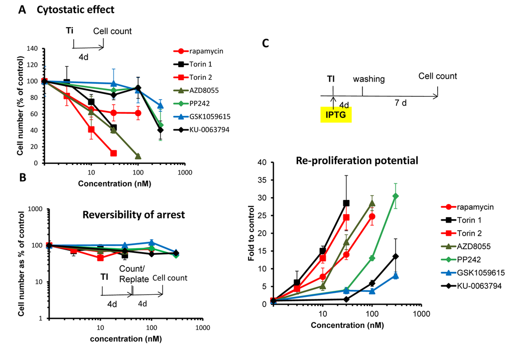 (A) Cytostatic effect. Effect of TOR inhibitors (Ti) on proliferation. HT-p21 cells were treated with serial dilutions of indicated Ti for 4 days and counted in triplicates. Data presented as mean ± SD. (B) Reversibility. Cells were treated as in A. After 4 day-treatment cells were counted and re-plated at 1000/well in 6-well plates in drug-free medium. Cells were allowed to re-proliferate for 4 days and counted. Cytostatic arrest was fully reversible. (C) Gerosuppression. Effect of TOR inhibitors on re-proliferative potential. HT-p21 cells were treated with IPTG in the presence of different concentrations of indicated Ti in triplicates. After 4 day-treatment, cells were washed off the drugs and allowed to regrow in drug-free medium for 7 days and counted. Data presented as mean ± SD.