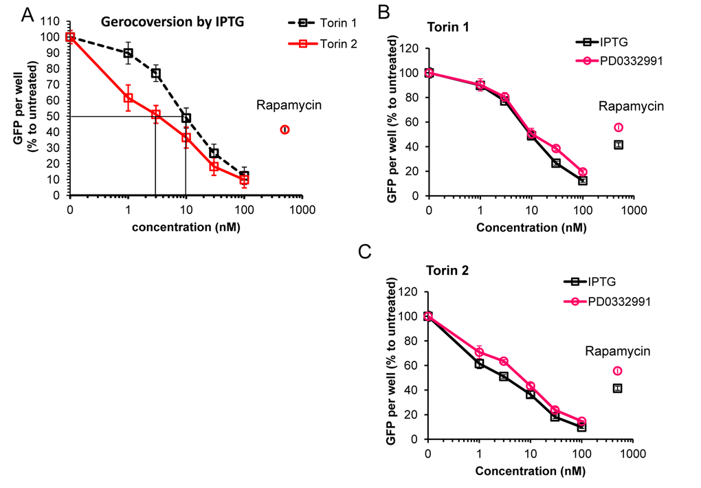 Effect of torins 1 and 2 on hypertrophy of senescent HT-p21 cells measured by constitutive GFP fluorescence of these cells. (A) HT-p21 cells were treated with IPTG and concentration range of torin1 or torin 2, rapamycin (500 nM) was included for comparison as additional control. After 4 day-treatment GFP fluorescence was quantified using Typhoon scanner (Amersham Biosciences variable mode imager) and ImageQuantTL software. (B) and (C) HT-p21 cells were induce to senesce by treatment with either IPTG (3 days) or PD0332991 (0.5 µM, for 4 days) and concentration range of torin 1 (B) or torin 2 (C). Effect of torins on hypertrophy was assessed by measuring GFP fluorescence as described in (A). GFP per well is presented as % to IPTG or PD0332991 only treated cells for each set. Data are means ± SE of 8 replicates from one out of three independent experiments.