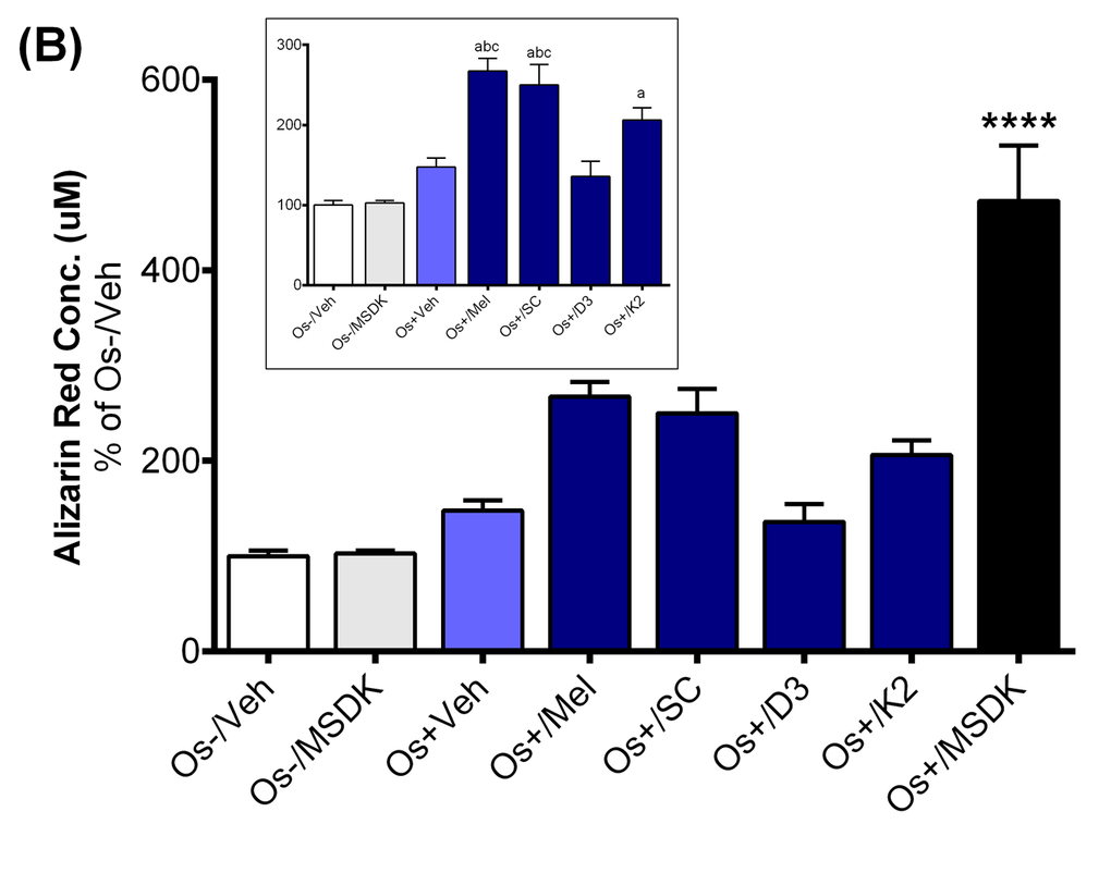 Effect of MSDK on osteoblast-mediated calcium mineralization. On day 21 of MSDK exposure, calcium deposition by differentiated, matured osteoblasts were evaluated via alizarin red staining on the (A) bottom chamber cells of transwell co-culture and (B) layered co-culture. Inset graph represents similar analysis in absence of Os+/MSDK. Each bar represents the mean concentration of alizarin red (μM) for respective groups normalized against Os-/Veh (n=3; Transwell co-culture: ****=pppppppp3 (Cholecalciferol), K2= vitamin K2 (MK7).