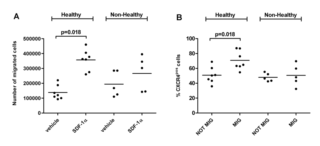 Migratory ability of LLI MNCs is impaired in non-healthy donors and associates with percentage of membrane CXCR4-positive cells. (A) Dot plot showing results of in vitro migration assay performed on a separate group of healthy (N=7) and non-healthy (N=5) LLIs. Number of MNCs migrated in the lower chamber toward vehicle (migration medium containing 0.1% serum bovine albumin, BSA) or chemoattractant SDF-1α (CXCL12) is shown. (B) Percentage of CXCR4 (SDF-1α receptor)-positive MNCs was measured by flow cytometry in migrated (MIG) and not migrated (NOT MIG) harvested from the upper and lower chamber of the migration system respectively. Results of the 12 donors are shown in the dot plot. 