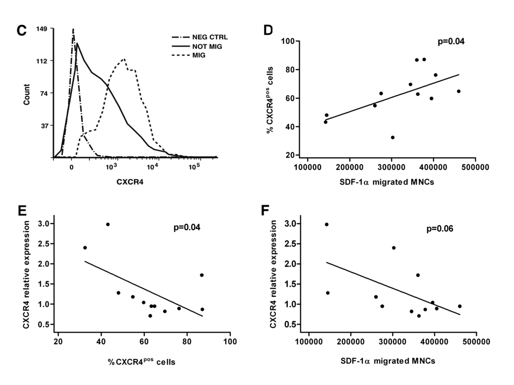 Migratory ability of LLI MNCs is impaired in non-healthy donors and associates with percentage of membrane CXCR4-positive cells. (C) Representative flow cytometry plot showing CXCR4pos MNCs in migrated and not migrated fractions. Negative control (Neg CTRL) indicates not stained MNCs. (D-F) Association analysis of SDF-1α-migrated MNCs and percentage of CXCR4pos cells (P=0.04), percentage of CXCR4pos cells and CXCR4 relative expression (P=0.04), and SDF-1α-migrated MNCs and CXCR4 relative expression (P=0.06).