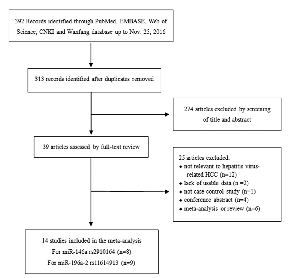 The flow chart illustrating the selection process of included studies.