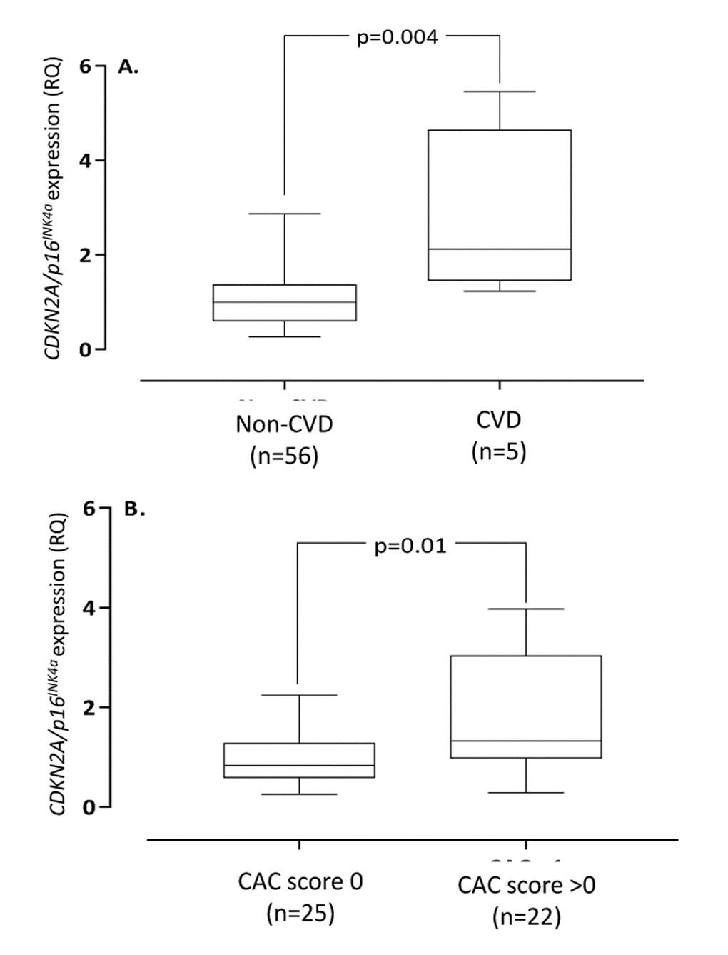 Arterial expression of CDKN2A/p16INK4a in end-stage renal disease patients with vs. without cardiovascular disease (A) and coronary artery calcification (CAC) score 0 vs. >0 (B). Cardiovascular disease was defined on clinical grounds. Coronary artery calcification score were obtained through CT heart (n=47). CDKN2A=cyclin-dependent kinase 2A. RQ=relative quantity.