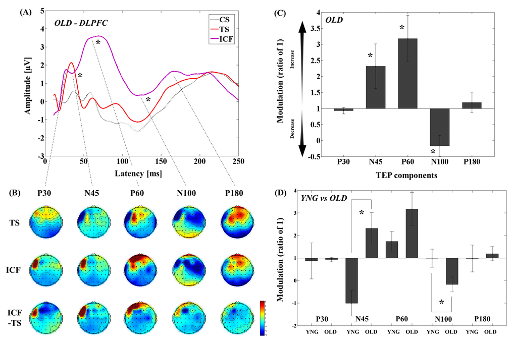 Modulation of TEPs by the DLPFC-ICF paradigm in older adults. (A) The graph depicts TEP traces averaged across the older adults for subthreshold TMS (black dot line: CS), unconditioned TMS (red line: TS) and conditioned TMS (purple line: ICF; ISI = 10ms) at the left frontal ROI. (B) The illustration shows the EEG topographical plots for conditions of TS alone, ICF, and the difference between TS and ICF obtained from the DLPFC-ICF experiment. Each vertical column depicts the TEP topoplots for P30, N45, P60, N100, and P180 component from left to right. (C) The bar graph shows modulatory effects of the DLPFC-ICF on TEPs in the older adults. The ANOVA and post-hoc analyses revealed that there are significant modulations (p (D) The bar graph showing cross-sectional comparisons between younger and older adults in the DLPFC-ICF paradigm. The older adults demonstrate a significant facilitation of amplitude on N45 TEP and a significant attenuation of amplitude on N100 TEP compared to the younger adults (p 