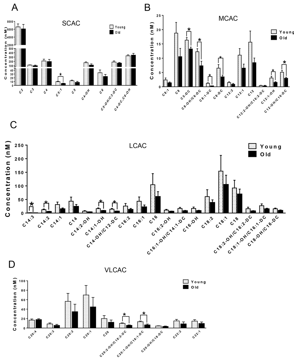 Metabolomic analysis of cardiac acylcarnitines from young and old mice. (A-D) Metabolomic profiles of SCACs, MCACs, LCACs, VLCACs levels in cardiac muscle from young and old mice. Values are means±SEM for 6 young and 5 old mice in each group. *P 