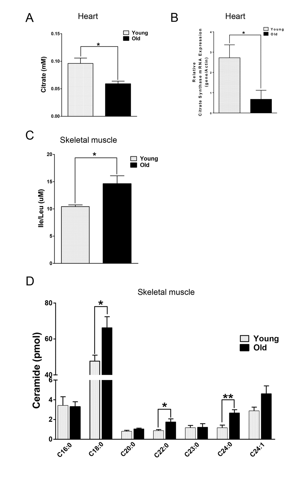 Differential changes of metabolites in skeletal and cardiac muscle from young and old mice. (A) Decreased citrate concentration in the old heart. (B) Decreased mRNA expression of citrate synthase (CS) in old heart. (C) Increased branched chain amino acid (BCAA) in old skeletal muscle. (D) Increased ceramide in old skeletal muscle. Values are means±SEM for 6 young and 5 old mice in each group. *P 
