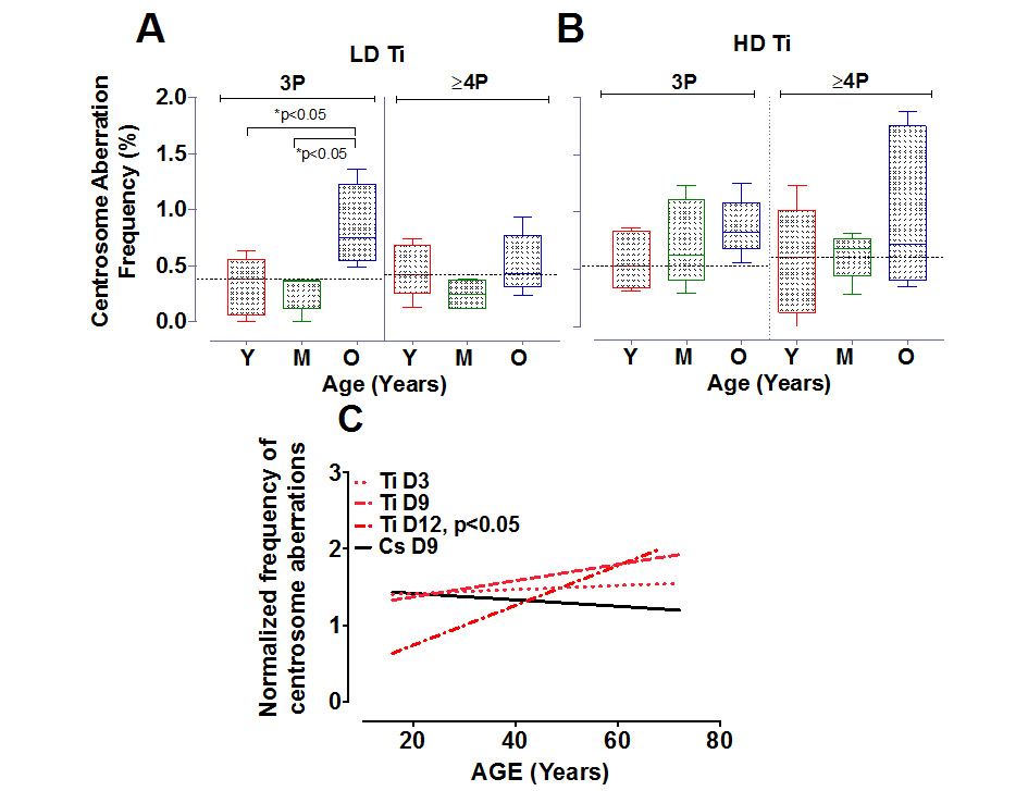 Centrosome aberrations in age-grouped cohorts. Strains exposed to Ti at a low dose (LD= 0.05 Gy) or high dose (HD= 0.5 Gy), were sub-grouped into young, middle and old. The frequency of cells with 3P and ≥4P was compared between the different age ranges (A and B respectively). The horizontal black dotted line represents the mean frequency of centrosome aberrations in the younger age groups. Error bars represent maximum and minimum values within each age group. (C) Centrosome aberrations were assessed at 3 days (D3), 9 days (D9) and 12 days (D12) post-exposure. Regression lines that model the relationship between age and the normalized mean centrosome aberration frequency are plotted for the various days. Data represent two independent sets for D3 and D12 for Ti ion and D9 for CS. Data from 4 independent experiments are plotted for D9 Ti.