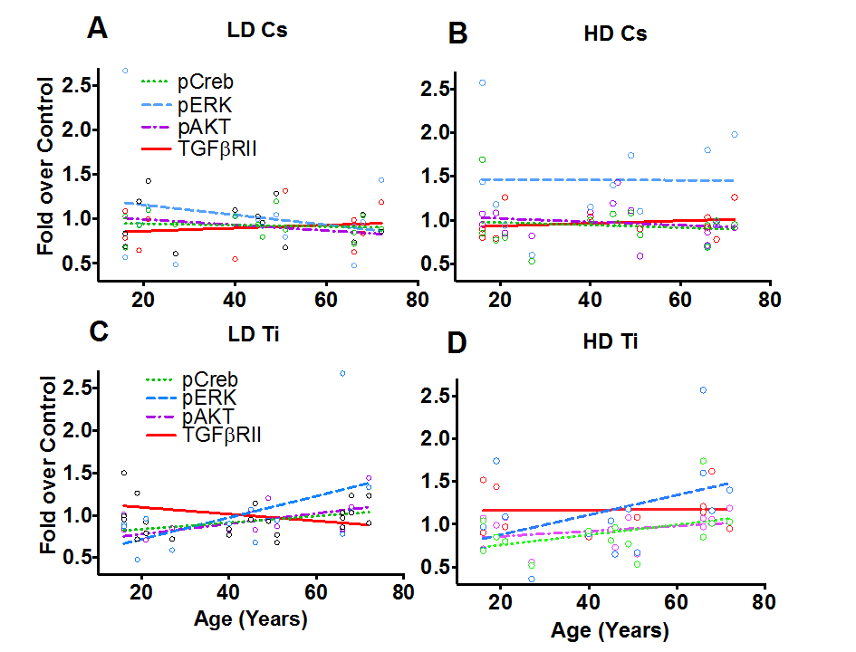 Phospho-protein patterns as a function of age. Phospho-profiles of key proteins in the RTK, TNFα and TGFβ signaling pathway were assessed in all fifteen of the HMEC strains 9 days post-exposure to Cs and Ti ions. Roughly equitoxic doses of Cs and Ti were used for exposures (LD-CS = 0.12 Gy; HD-CS = 0.8 Gy; LD-Ti = 0.05 Gy; HD-Ti = 0.5 Gy). Four proteins that showed a change with age were plotted. These include pERK, pCREB, pAKT and total levels of TGFβRII. Dotted lines and solid lines represent regression lines. Trends exhibited with a low (A) and a high (B) dose of Cs are shown. Similarly, trends observed at a low (C) and a high (D) dose of Ti ions are shown. Data from two independent experiments were plotted for each radiation type and dose.