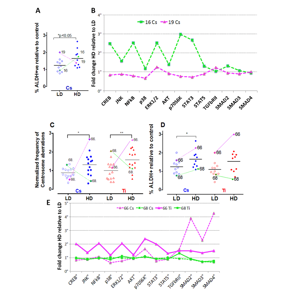 Strain-specific differences in the frequency of centrosome aberrations. The fraction of ALDH+ cells were plotted relative to control for cells exposed to low and high doses of Cs (LD = 0.12 Gy; HD = 0.8 Gy) (A). Colored lines identify the symbol representing the same strain at low and high dose for two strains of comparable ages (16 y-green and 19 y-pink). Phospho-profiles of key proteins in the RTK, TNFα and TGFβ signaling pathway were compared between the two strains after Cs and Ti exposure (B). Fold change of high relative to low dose phospho-protein expression was plotted for the strains. Data represent 2 independent experiments. The fraction of cells with aberrant centrosomes (>3P) (C) and ALDH+ cells (D) was plotted relative to control for cells exposed to low and high doses of Cs and Ti ion. Roughly equitoxic doses of Cs and Ti were used for exposures (LD-CS = 0.12 Gy; HD-CS = 0.8 Gy; LD-Ti = 0.05 Gy; HD-Ti = 0.5 Gy). Trend lines show that the strains from the 66 y old and 68 y old respond uniquely to low and high doses. Phospho-profiles of key proteins in the RTK, TNFα and TGFβ signaling pathway were compared between the two strains post-exposure to Cs and Ti (E). Fold change comparing the high to low dose was plotted for both strains following each radiation exposure (magenta solid line= Ti ion 66 y old strain, magenta dotted line = Cs ion 66 y old, green solid line = Ti ion 68 y old, green dotted line = Cs 68 y old). Data represent two independent experiments for each radiation type.