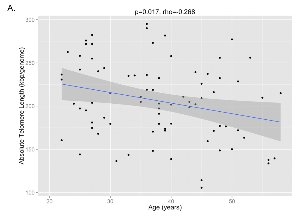 The correlation between absolute telomere length and age is shown, demonstrating that shorter telomere lengths are observed with older age (p=0.017, Pearson’s rho=-0.268).