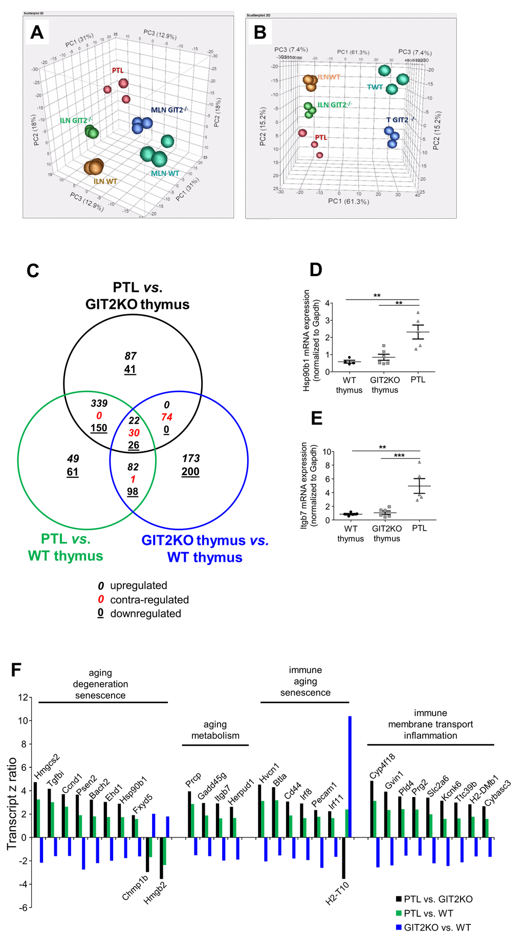 Transcriptomic analysis of GIT2KO parathymic lobes. Principal component analyses were performed upon transcriptomic data from thymus (WT thymus = TWT; GIT2KO thymus = T GIT2-/-), WT/GIT2KO ILN and MLN, as well as PTLs from GIT2KO mice. PTL transcriptome data separates with PCA from ILN and MLN from both WT and GIT2KO mice (A). PTLs share component 2 with GIT2KO thymi and component 1 with WT and GIT2KO ILN (B). Venn diagram analysis of significantly-regulated transcripts generated by the following tissue transcriptome comparisons: GIT2KO PTLs vs. GIT2KO thymus (black circle); GIT2KO PTL vs. WT thymus (green circle); GIT2KO thymus vs. WT thymus (blue circle). For the Venn diagram numbers in italics represent upregulated transcripts, underlined numbers represent downregulated transcripts, red numbers represent transcripts possessing diverse expression polarities (C). RT-PCR validations of selected PTL transcripts Hsp90β1 (D) and Itgb7 (E: **pF).