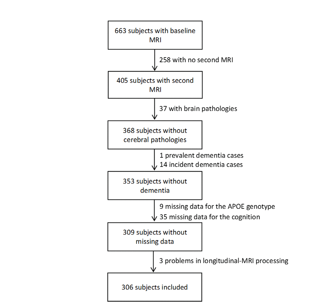 Flowchart of participants selection for the analyses.