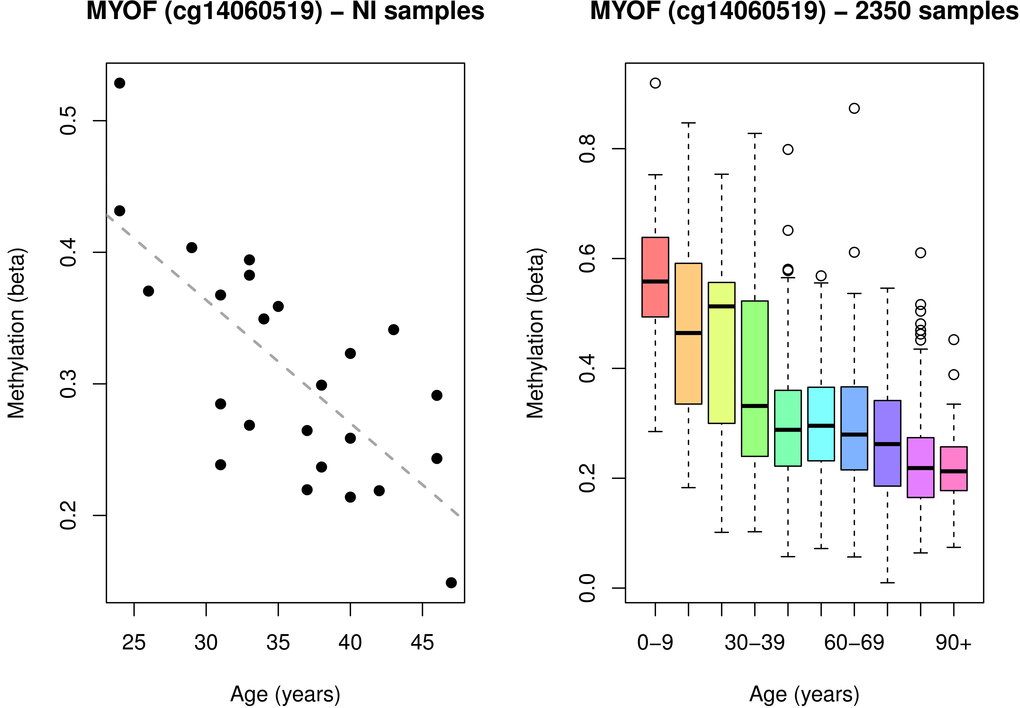 A single MYOF CpG site associated with age in: A) the 24 healthy female Norfolk Island samples, and B) 2316 public blood samples sourced from MARMAL-AID.