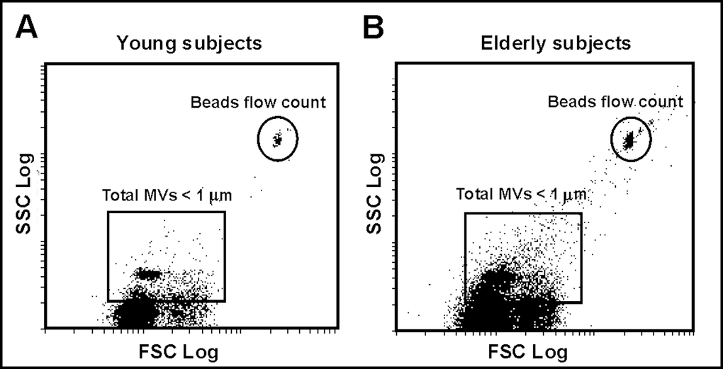 Plasma MVs assessed by flow cytometry. (A) Representative dot plot showing log forward scatter (FSC) vs. log side scatter (SSC) localization of MVs in a young subject. The upper right gate shows the bead flow count, used as an index to count MVs in absolute terms. The lower left gate shows MVs smaller than 1 µm. (B) Representative dot plot showing localization of MVs in an elderly subject.