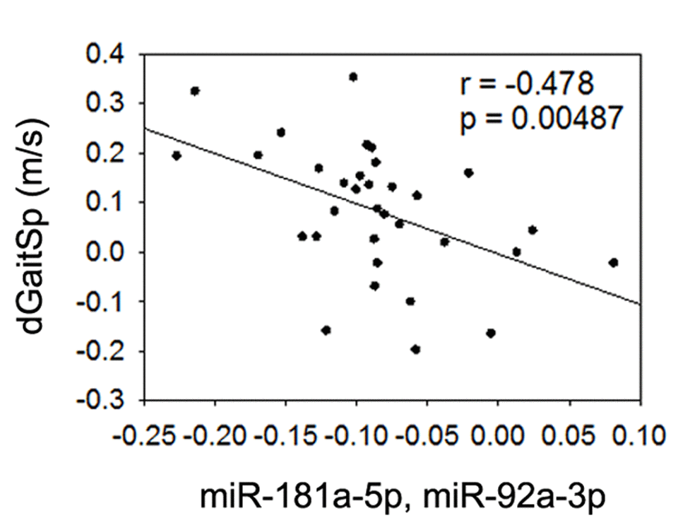 Combined miR-181a-5p and miR-92a-3p and gait speed changes. Association between changes in gait speed (dGaitSp) and combined baseline levels of miR-181a-5p and miR-92a-3p.