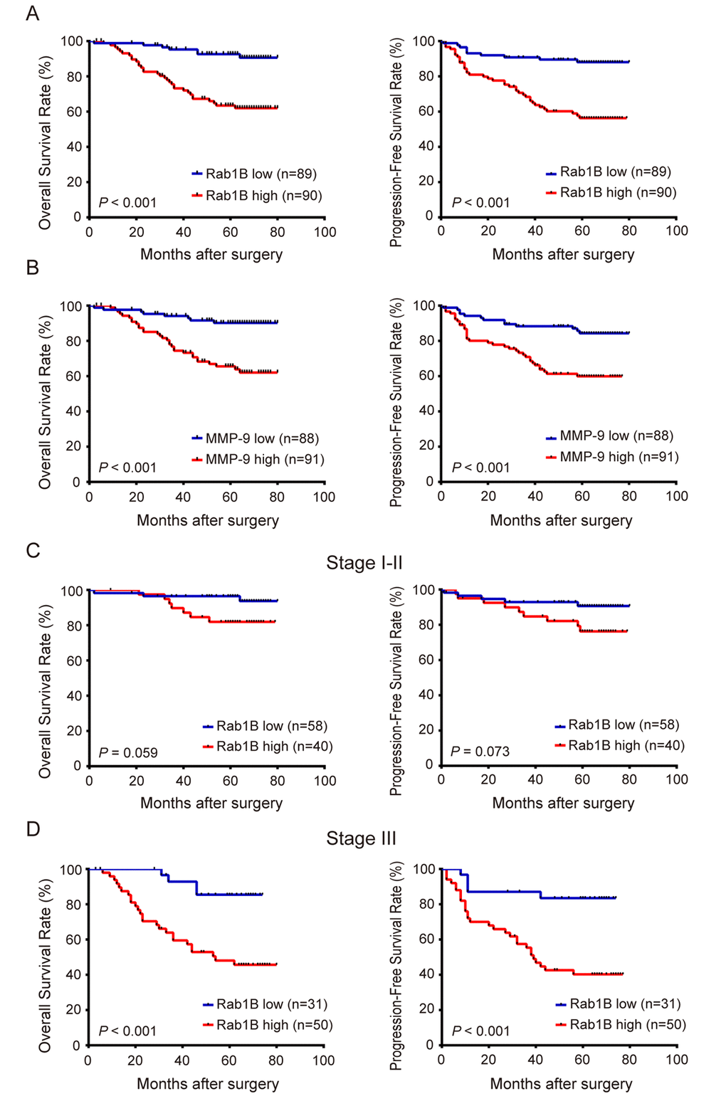 Overexpression ofRab1B and MMP9 proteins are associated with poor prognosis of CRC patients independent of clinical stage. (A) The overall survival (OS) and progression-free survival (PFS) of CRC patients with high or low Rab1B expression. P value was calculated by Log-rank test. (B) OS and PFS of patients with high or low MMP9 expression. (C) OS and PFS of stage I-II CRC patients with high or low Rab1B expression. (D) OS and PFS of stage III CRC patients with high or low Rab1B expression.