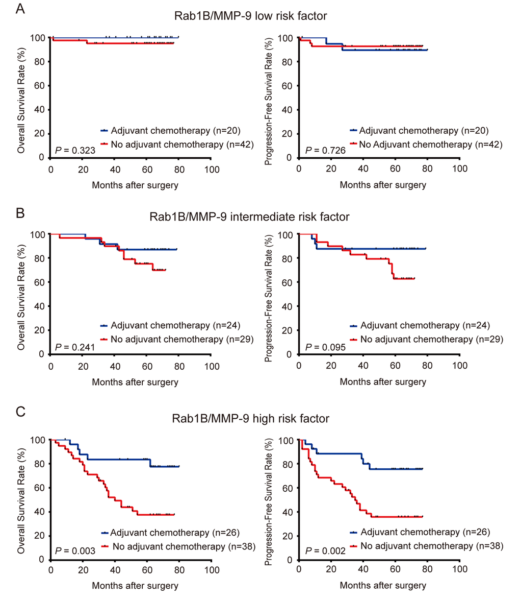 Combined expression of Rab1B and MMP9 proteins predicts the outcome of adjuvant chemotherapy in CRC patients. CRC Patients were stratified into three risk groups by the combined risk score of Rab1B and MMP9 protein expression. Kaplan-Meier survival was used to compare OS and PFS of CRC patients with or without adjuvant chemotherapy in low risk group (A), intermediate risk group (B), and high risk group (C).