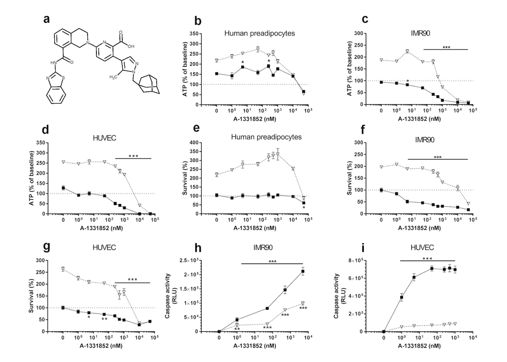 A1331852 targets senescent cells. (a) Structure of A1331852. (b-d) A1331852 is more effective in reducing viability (ATPLite) of senescent HUVECs and IMR90 cells than primary human preadipocytes. Proliferating or senescent cells were exposed to different concentrations of A1331852 for 3 days. The red lines denote ATPLite intensities on day 0 of senescent and non-senescent cells, both set to 100%. HUVEC and IMR90 data are means±SEM of 5 replicates at each drug concentration. Preadipocyte data are means±SEM of 5 replicates from each of 4 different subjects at each concentration. (e-g) A1331852 selectively reduces senescent but not proliferating HUVECs and IMR90 cell numbers (crystal violet). The red lines denote cell numbers at plating on day 0 of senescent and non-senescent cells, both set to 100%. HUVEC and IMR90 data are means±SEM of 5 replicates at each drug concentration. Preadipocyte data are means±SEM of 5 replicates from each of 4 different subjects at each concentration. (h-i) A1331852 induces apoptosis in senescent HUVECs and IMR90 cells. HUVECs were treated with A1331852 for 12h and then caspases-3&7 were assayed using a luminescent substrate. A1331852 (1 nM) induced apoptosis in senescent cells by caspase 3/7 assay.