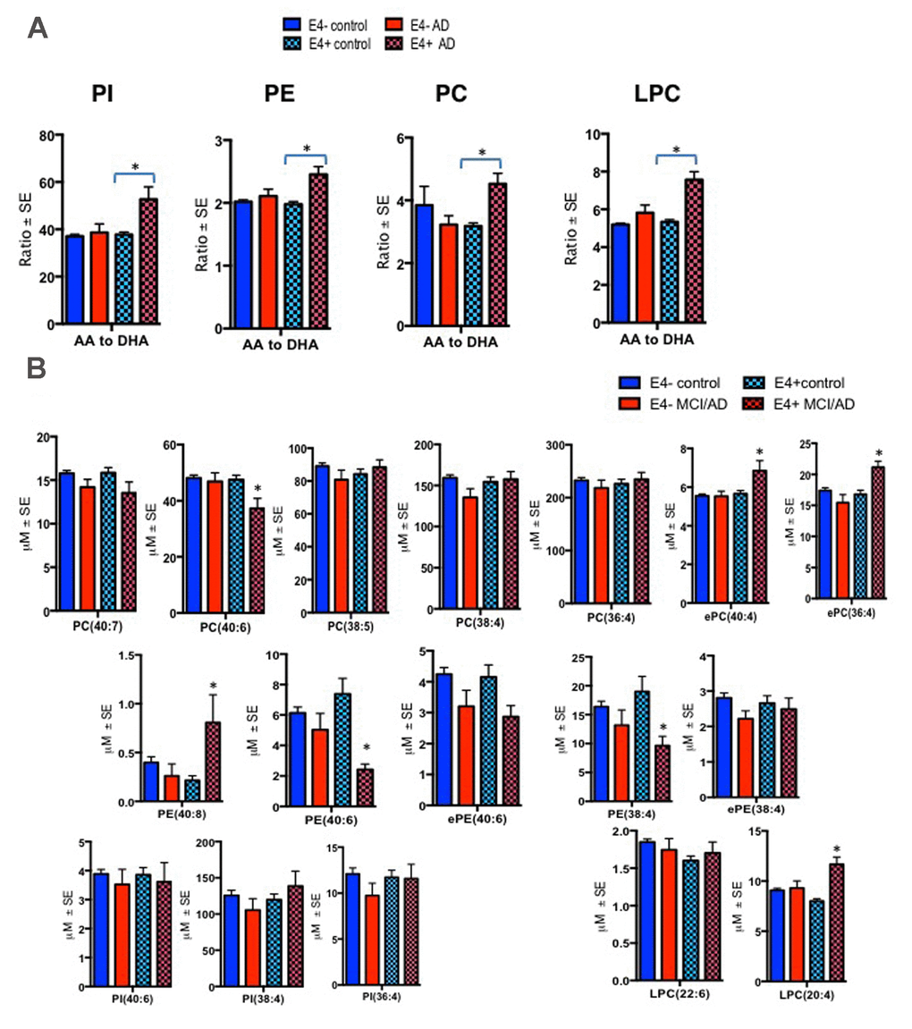 Ratios of AA to DHA and individual PL species stratified by diagnosis and the APOE ε4 carrier status. Mean ± SE (ε4-non carriers = 119 control and 13 MCI/AD; ε4 carrier = 53 controls and MCI/AD = 10). (A) There was an interaction between MCI/AD diagnosis and ε4 allele for PC (F = 10.81, p = 0.001), PE (F = 4.95, p = 0.027), PI (F = 9.13, p = 0.003) and LPC (F = 15.05, p B) Individual AA and DHA species which significantly contributed to the imbalance in AA to DHA ratios among ε4 carries with MCI/AD compared to other groups include ePC(36:4), ePC(40:4), PC(40:6), PE(38:4), PE(40:6), PE(40:8) and LPC(20:4). *p 